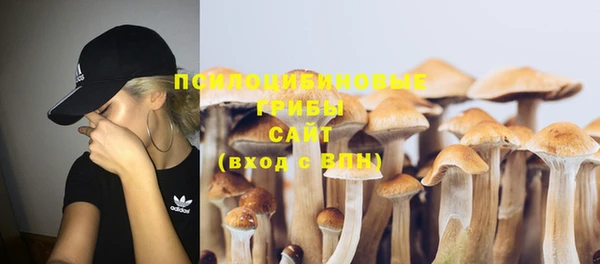 кристаллы Дмитриев