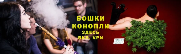 мет Дмитров