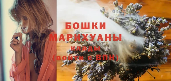 мет Дмитров