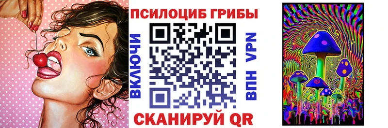 Купить где  Рошаль  Галлюциногенные грибы Psilocybine cubensis 